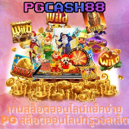 จ่ายไวพลัส